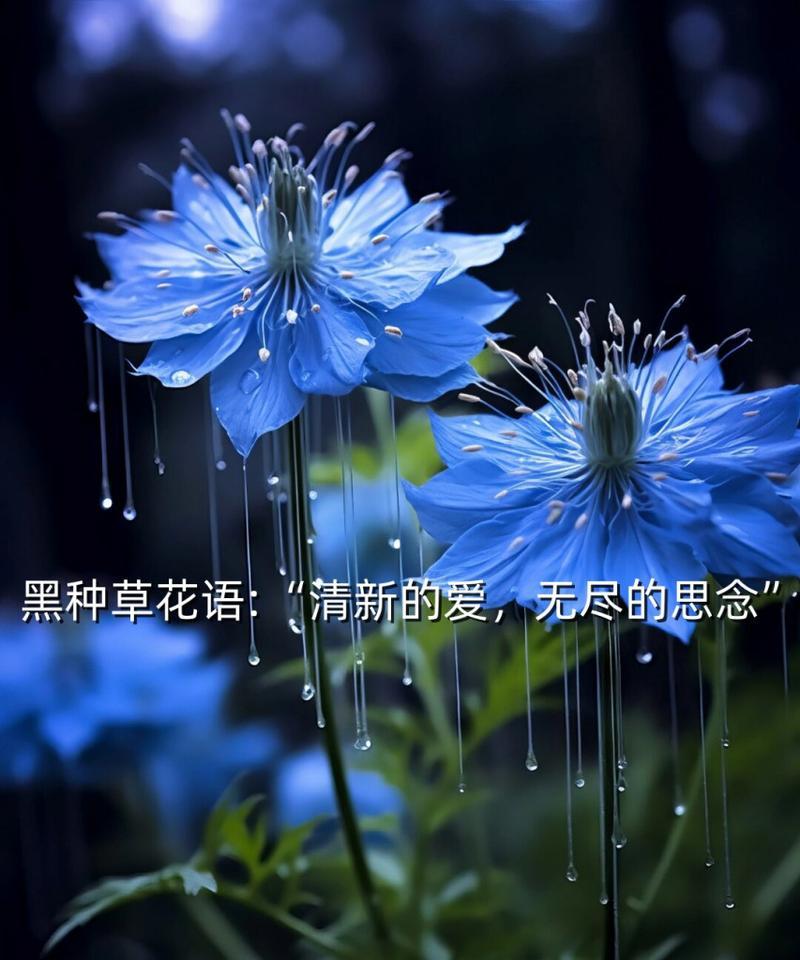 花语是对爱人的思念是什么花？哪种花代表了深切的思念？