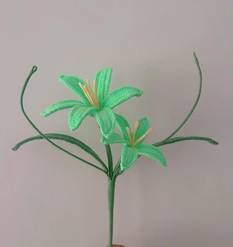 葱莲花语有哪些寓意？它象征着什么？