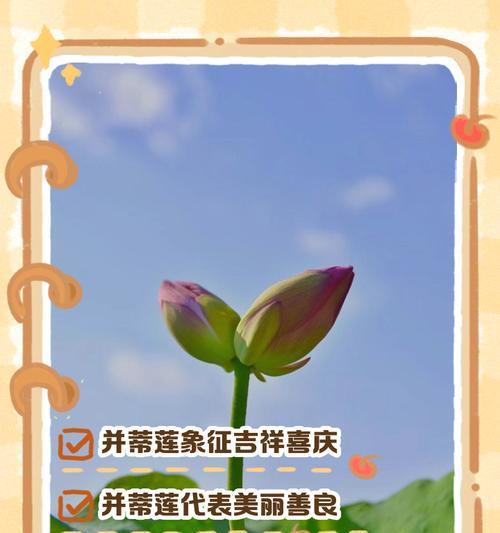 吉祥花语物品有哪些？花语中代表吉祥的是什么？