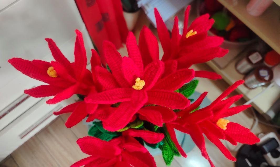 吉祥花语物品有哪些？花语中代表吉祥的是什么？