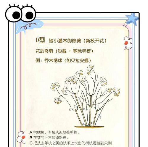仙人掌多子多孙修剪的最佳时机？