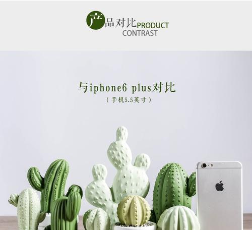 祖母仙人掌绿花瓶的种植步骤是什么？