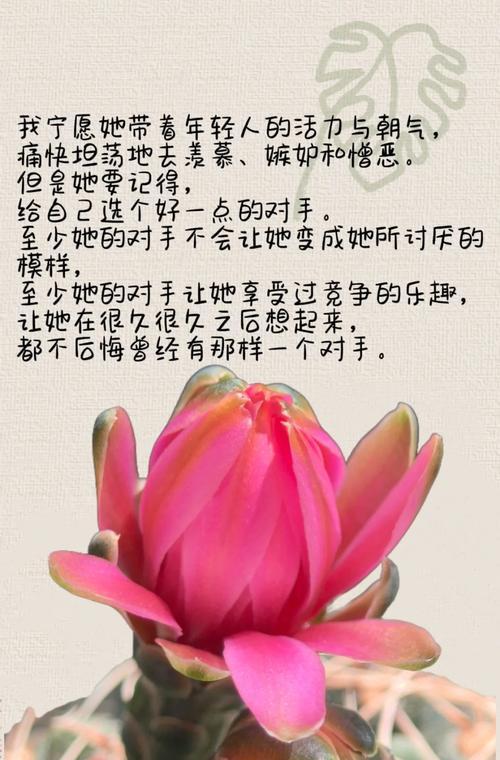 仙人球如何快速长出侧头？有哪些养护技巧？