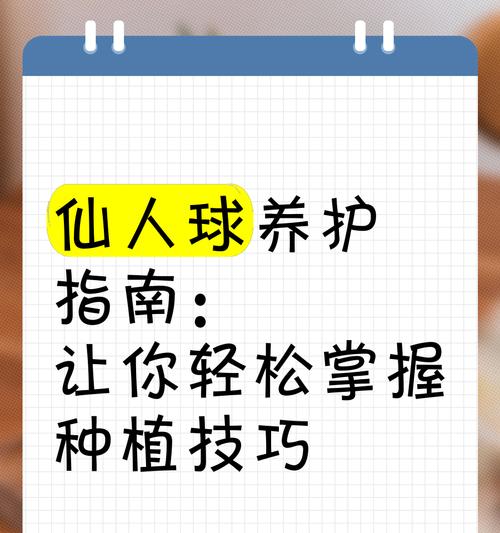 仙人球如何快速长出侧头？有哪些养护技巧？