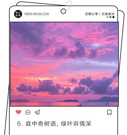 无言花语通常表达什么？