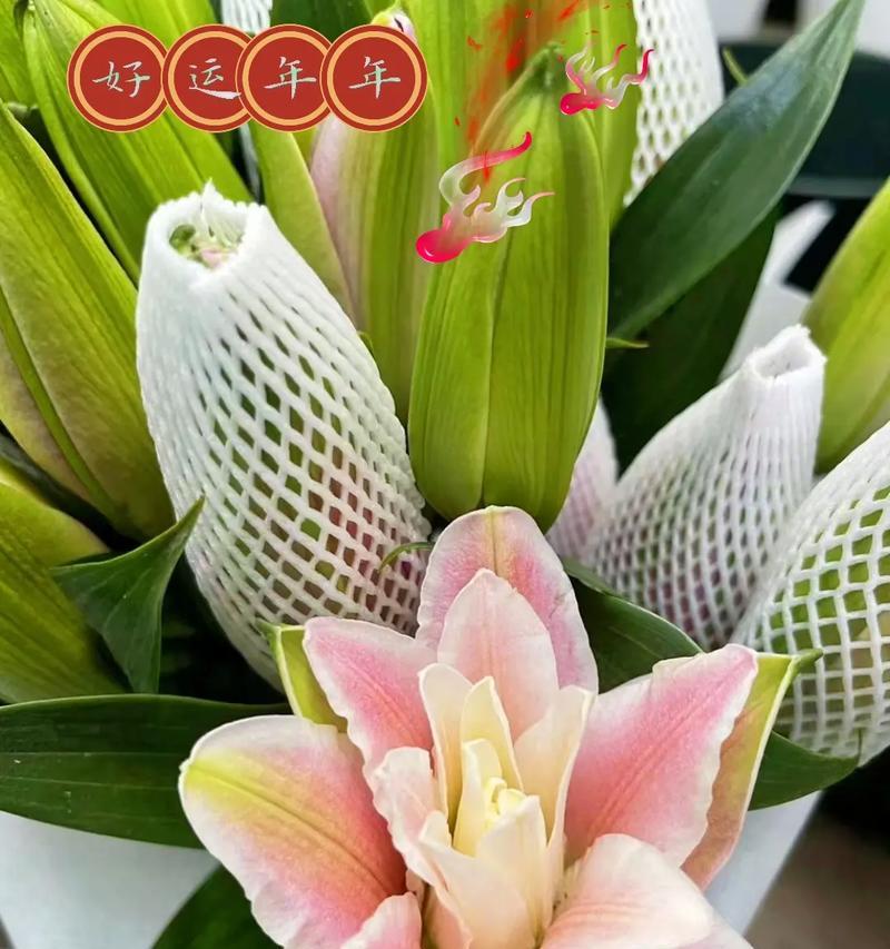 百合和满天星的花语是什么？它们共同传递了哪些信息？