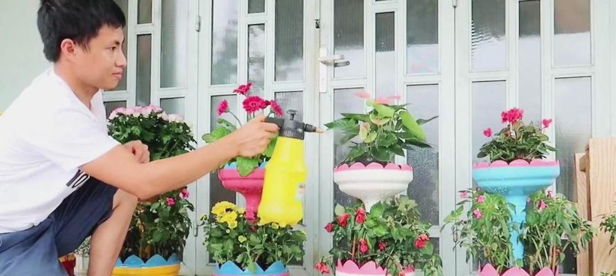 白色牡丹花适合哪种花盆？如何选择搭配？