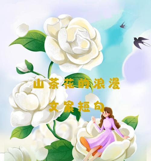 温柔的花语通常用什么花来表达？