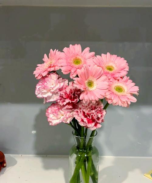 玫瑰花如何保养才能延长花期？有哪些小技巧？