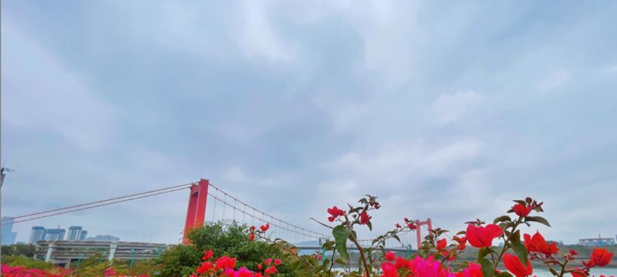 2月22日的花语代表什么？