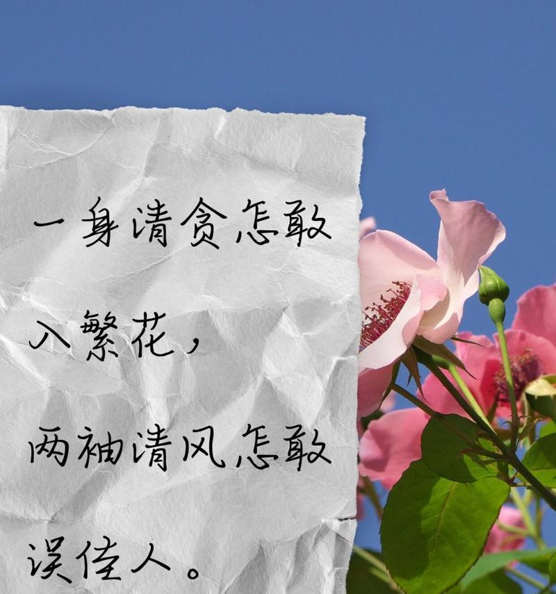 不被理解的爱情用什么花语表达？