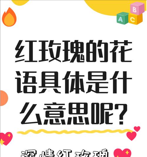 玫瑰玫瑰的花语何时播出？花语含义是什么？