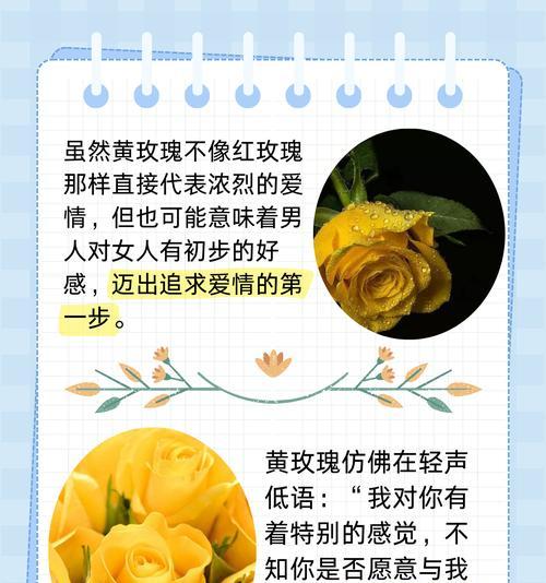 玫瑰玫瑰的花语何时播出？花语含义是什么？