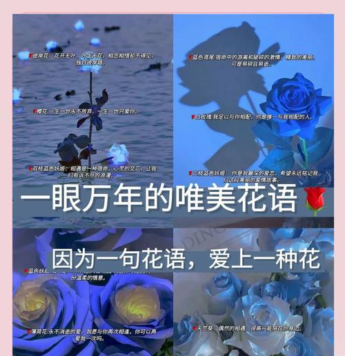 期待浪漫的花语是什么？它表达了哪种情感？