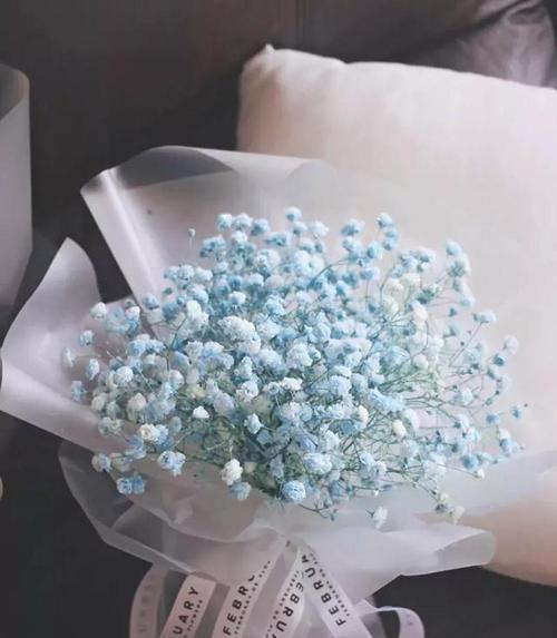小聪老师这个花语代表什么？
