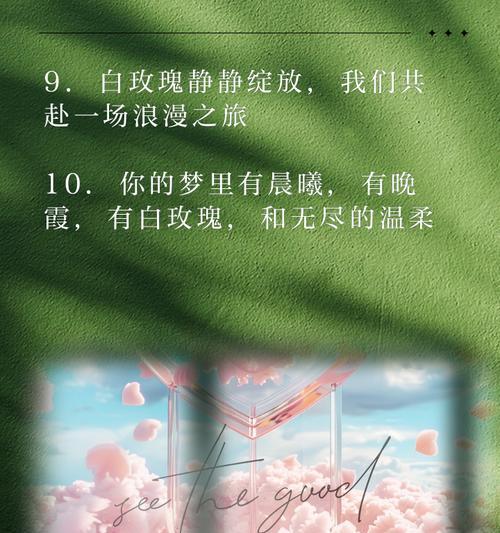 表达永不褪色友谊的花语有哪些？