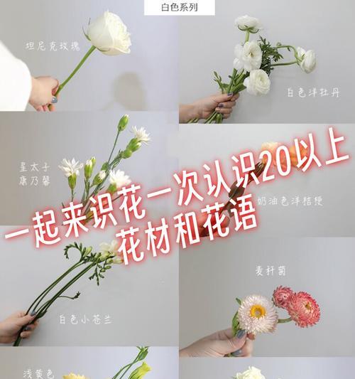 表达永不褪色友谊的花语有哪些？