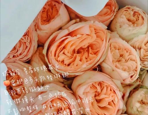玫瑰花干束花的正确养护方法是什么？