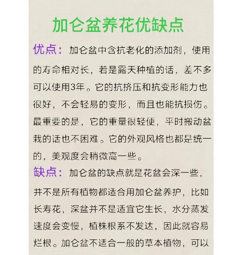 3加仑花盆适合种植多少玫瑰花？如何确保玫瑰花健康生长？