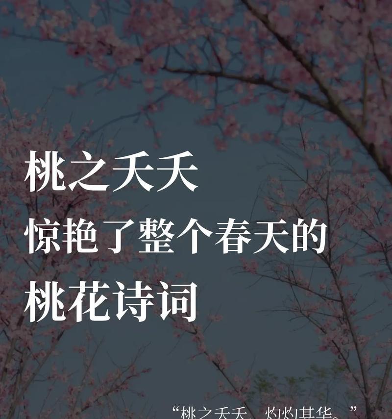 桃花的花语代表了什么情感？