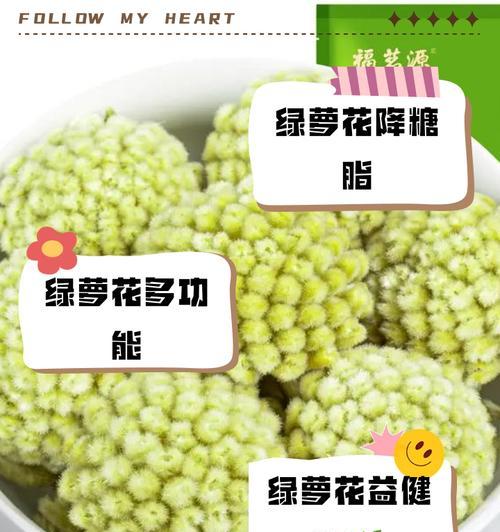 绿萝的花语有多简单？