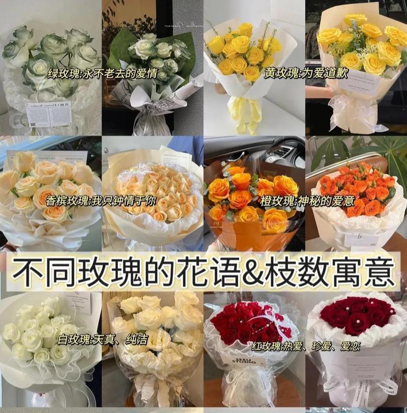 塑料玫瑰花颜色的花语有哪些？