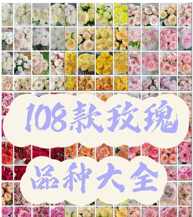 塑料玫瑰花颜色的花语有哪些？