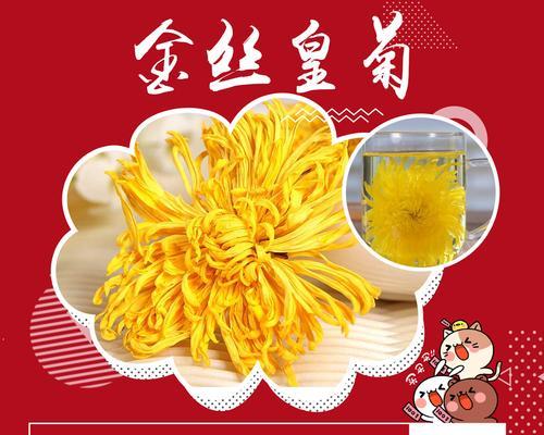 皇菊的花语有哪些含义？