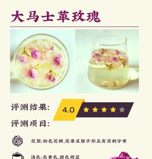哪些玫瑰花品种最不耐养？如何正确养护？