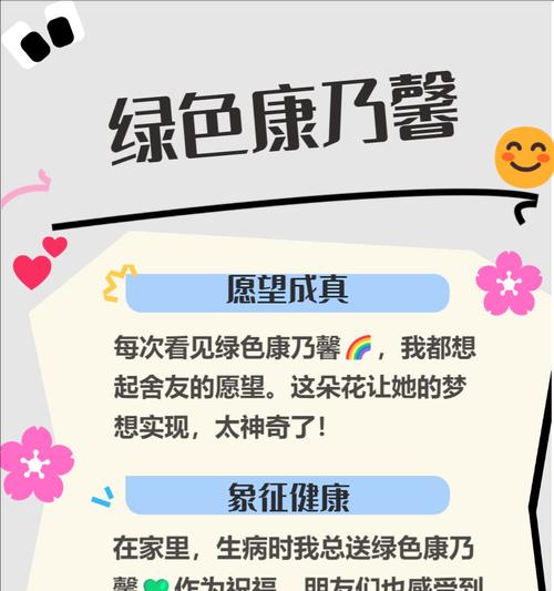 一炮四响的花语是什么？这种花语背后有何特殊意义？