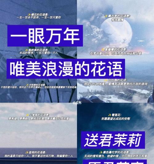 蓝星草的花语有何特别之处？