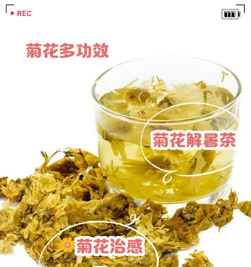 氧化菊牡丹花的养护和浇水技巧有哪些？