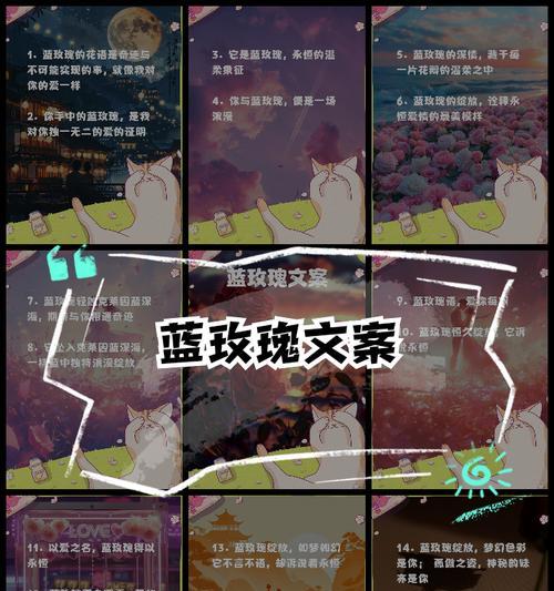 十三行蓝玫瑰的花语有何特别之处？
