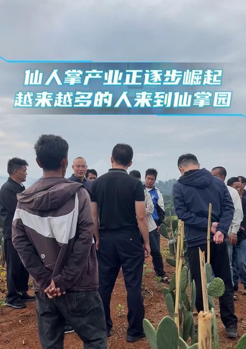 水泥采草仙人掌怎么种？水泥采草仙人掌的种植技巧是什么？