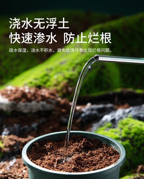 地栽玫瑰花的土壤配比方法是什么？