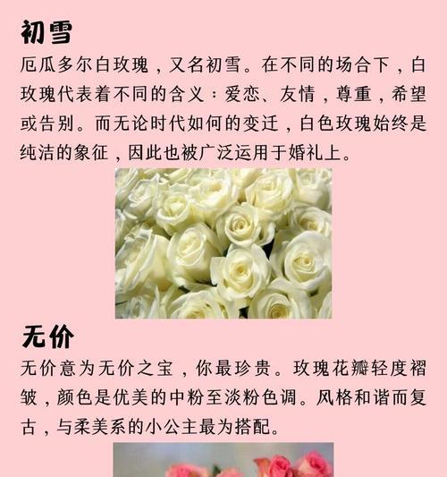 哪种花的花语代表爱？它象征着怎样的情感？
