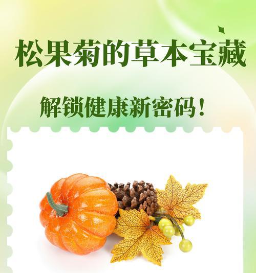 松树果果的花语代表什么含义？