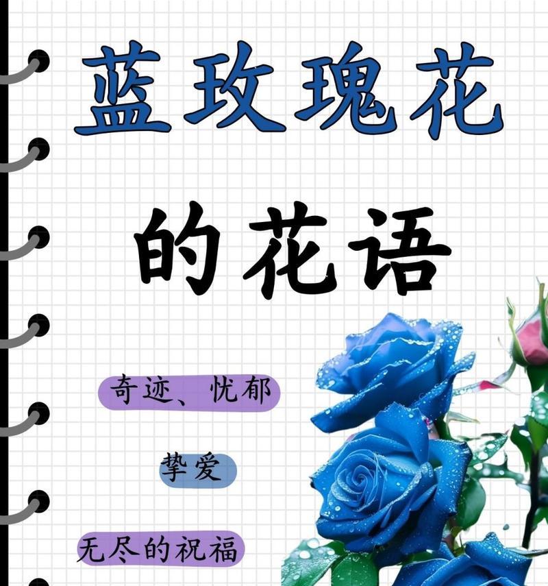 中国蓝玫瑰代表了哪种花语？