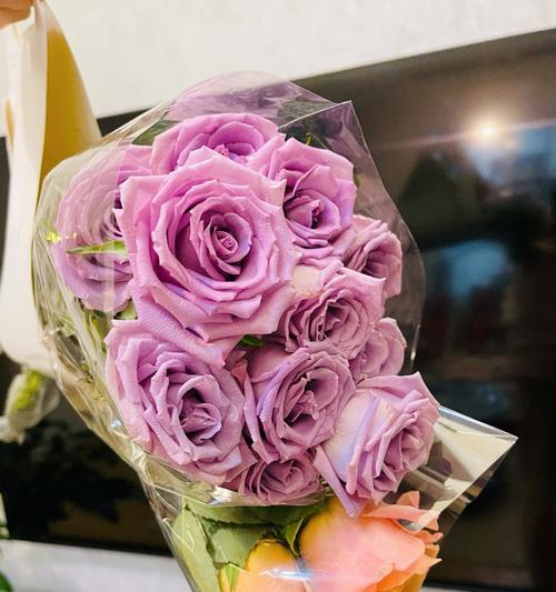 桔黄色玫瑰花的含义是什么？它象征着什么？