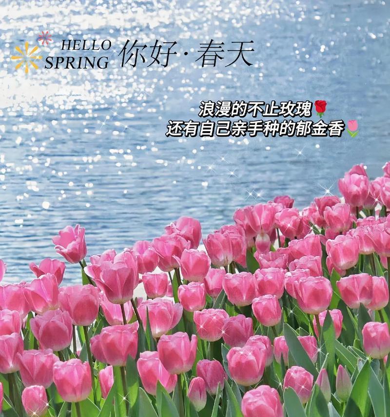 纪念先贤的花语和寓意有哪些？适合纪念先贤的花是什么？