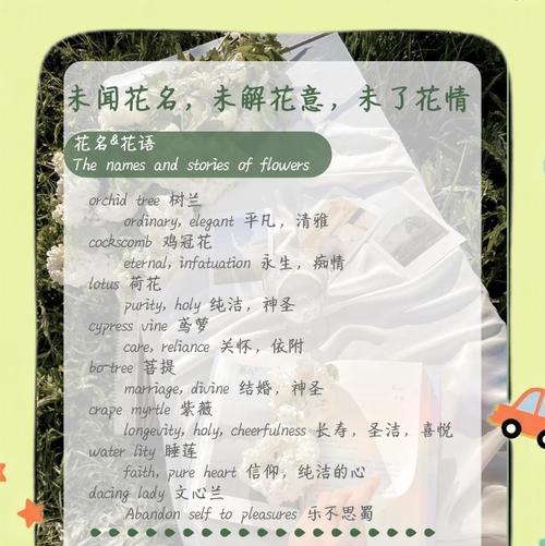 给自己送花时应该选择哪种花的花语？