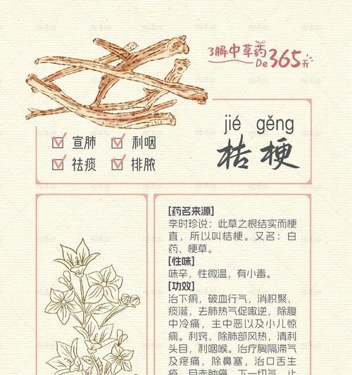 桔梗花语有何寓意？