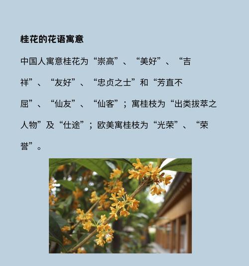 代表清澈的花语是什么花？清澈的花语有什么特别含义？