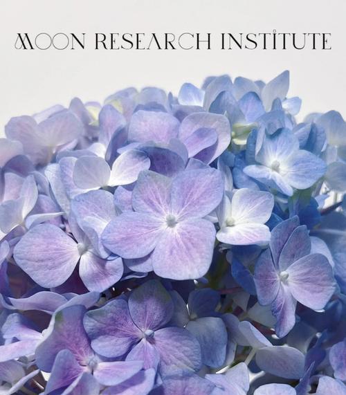 代表清澈的花语是什么花？清澈的花语有什么特别含义？