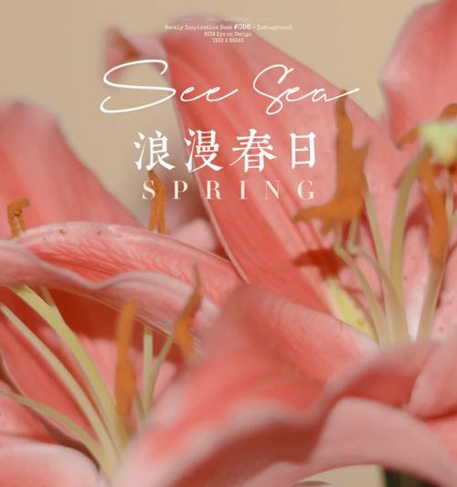 平淡日子的花语有哪些？平淡日子的花语代表什么？
