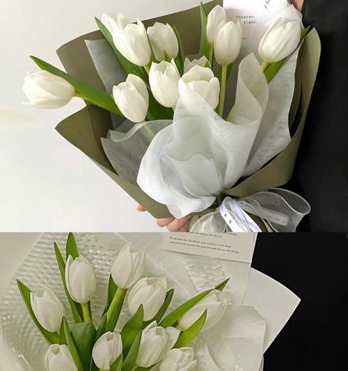 表达感谢的花语有哪些？追求者应送什么花？