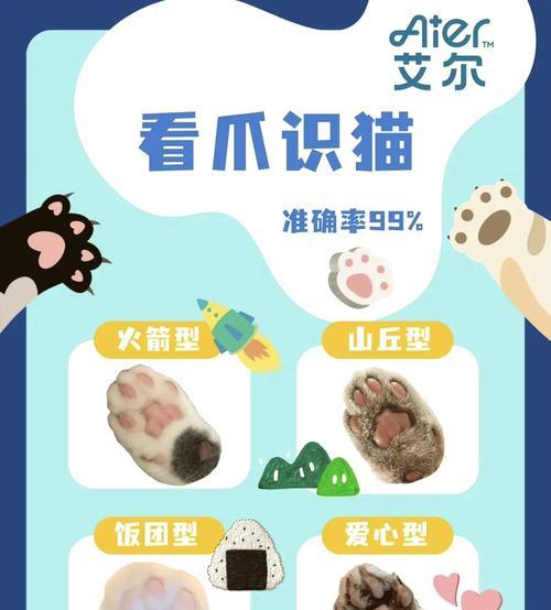 猫咪形状仙人掌的养殖方法和注意事项是什么？