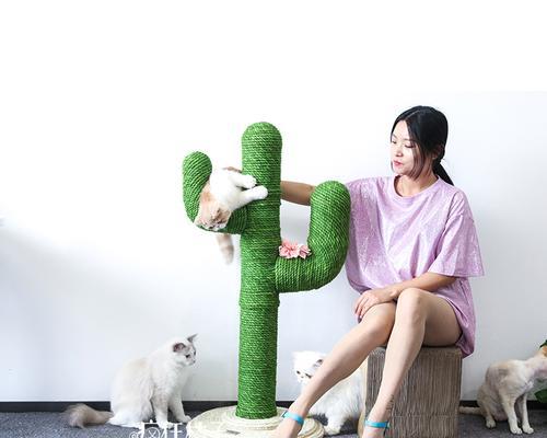 猫咪形状仙人掌的养殖方法和注意事项是什么？