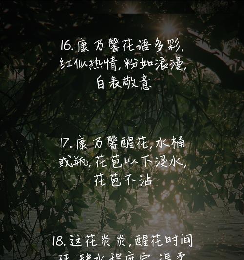 康乃馨的花语有何含义？它象征着什么？
