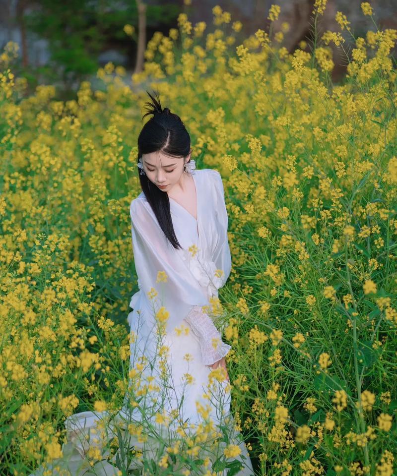 古田油菜花的花语有何寓意？